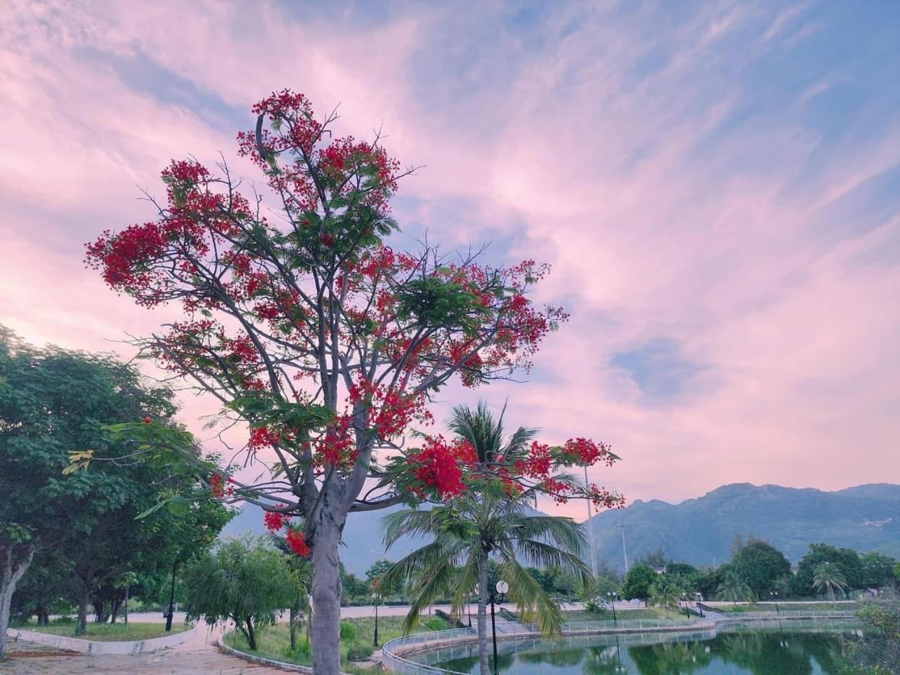 Moc Homestay- Near Bai Dai Beach Cam Lam ภายนอก รูปภาพ