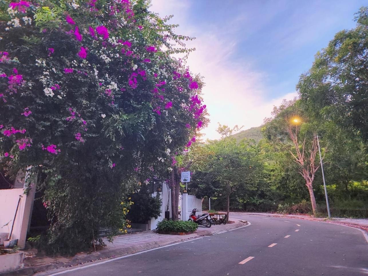 Moc Homestay- Near Bai Dai Beach Cam Lam ภายนอก รูปภาพ