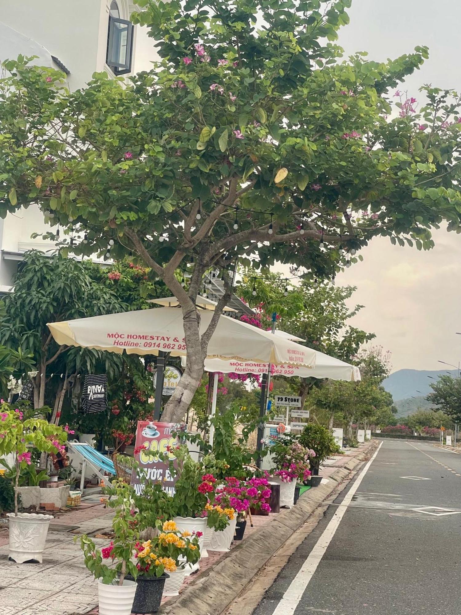 Moc Homestay- Near Bai Dai Beach Cam Lam ภายนอก รูปภาพ
